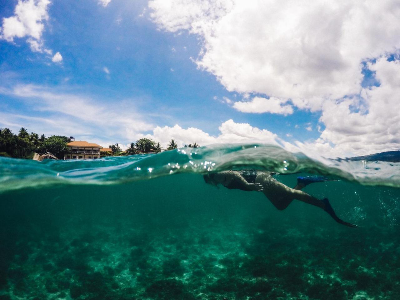 Turtle Bay Dive Resort Moalboal Exteriör bild